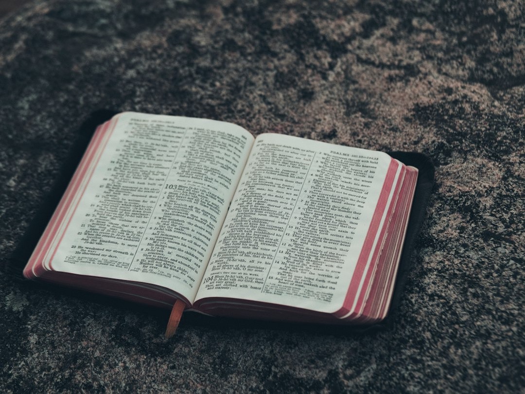 Reading Your Bible